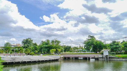 Fototapeta premium lakeside park.