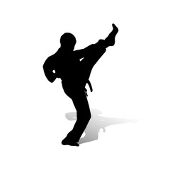 Karatist makes a kicking, silhouette on a white background,