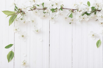 Naklejka na ściany i meble spring flowers on white wooden background
