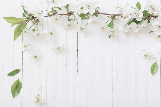 Spring Flowers On White Wooden Background