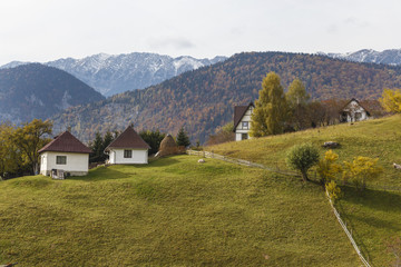 Colorful autumn landscape in the mountain village Magura, in the Carpathian mountains. Romania.