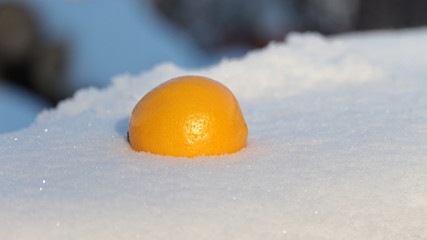fruit in the snow
