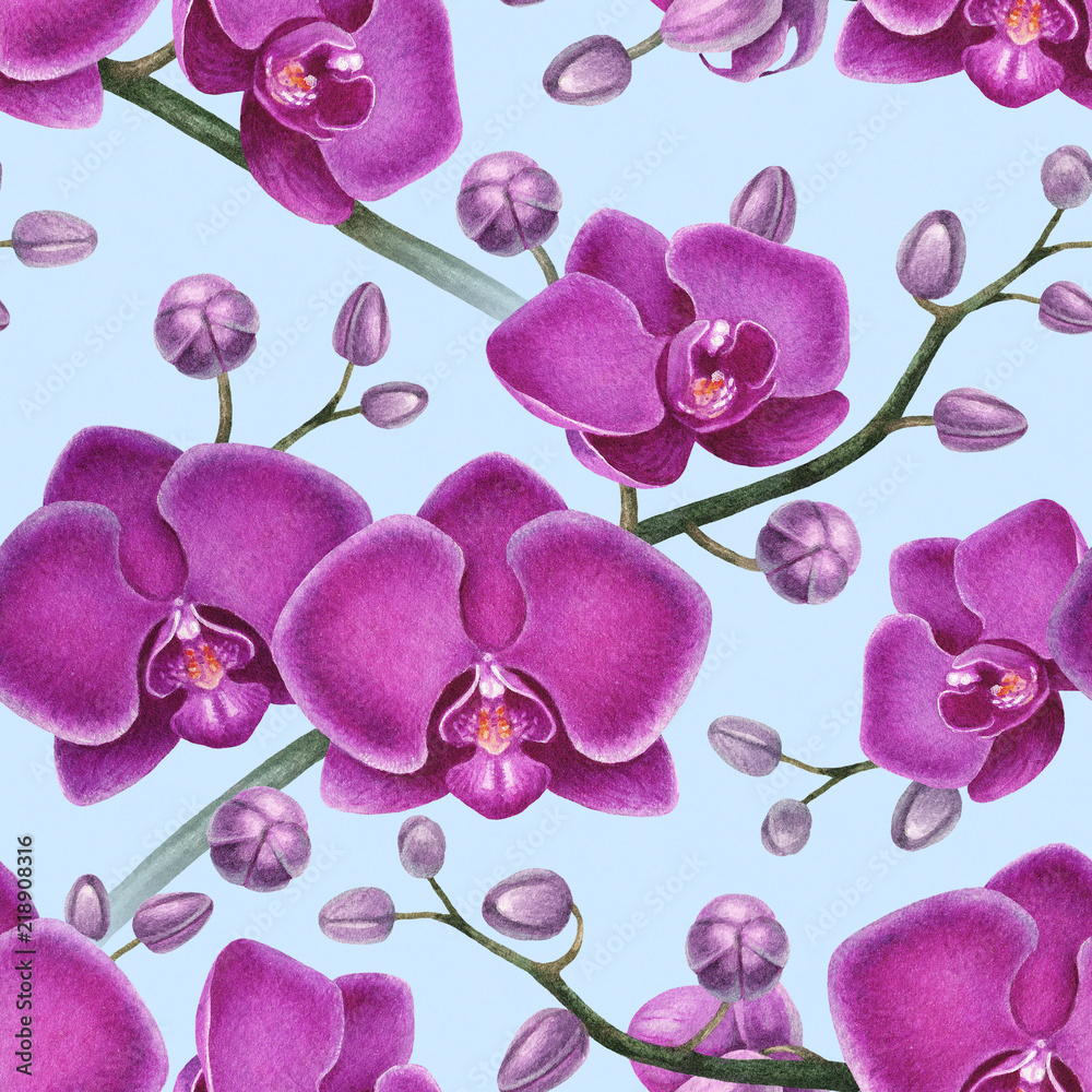 Wall mural watercolor illustrations of orchids. seamless pattern