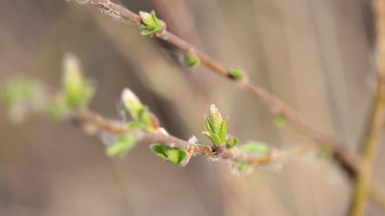 It's spring
