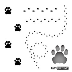 Cat's footprint set isolated on white background. Vector design element.