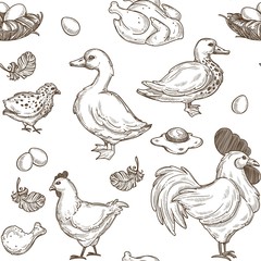 Chicken and ducks vector sketch pattern background