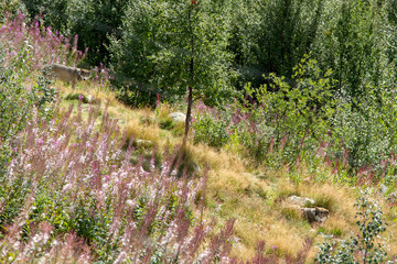 Norwegen Gebirge Hochebene