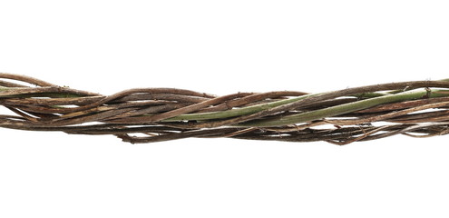 Wild dry liana, jungle vine isolated on white background, clipping path