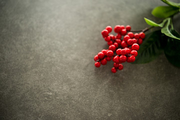 Red flower dark background copy space.