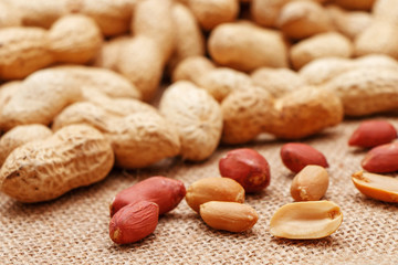 Peanuts on the background of sack cloth.