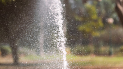A garden sprinkler frozen in time