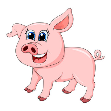 pig cartoon character vector design isolated on white background