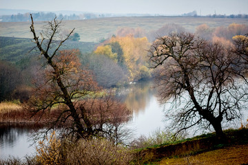 Dry bare trees on the background of the river, landscape, late autumn_