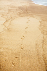 Footprint of bare feet on wet sand. Summer vacation on the beach. Walk along the sea shore