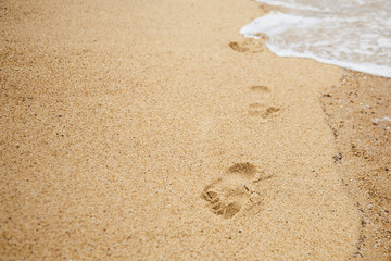 Footprint of bare feet on wet sand. Summer vacation on the beach. Walk along the sea shore