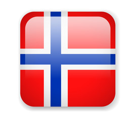Norway flag. Square bright Icon on a white background
