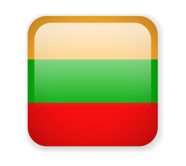Lithuania flag. Square bright Icon on a white background
