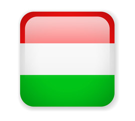 Hungary flag. Square bright Icon on a white background