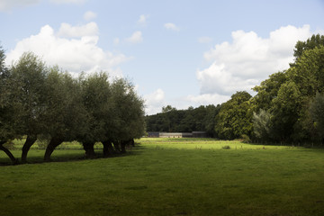 Farm Light Cut Landscape