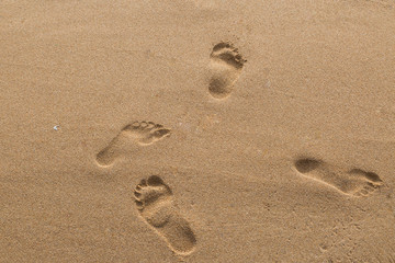 Fototapeta na wymiar footprints of lovers in the sand on the beach