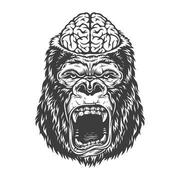 Angry gorilla in monochrome style