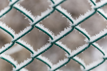 Fototapeta premium Frozen Barbed Wire