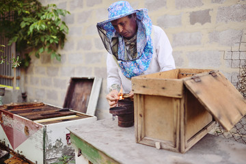 male bee-keeper with a smoke near an apiary or a beehive
