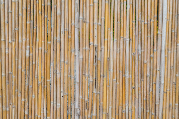 Pattern of bamboo fencing texture