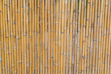 Pattern of bamboo fencing texture