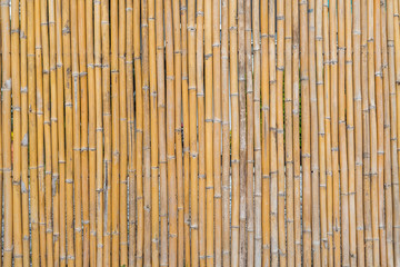Pattern of bamboo fencing texture