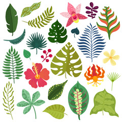 Tropical Plants Elements Set 