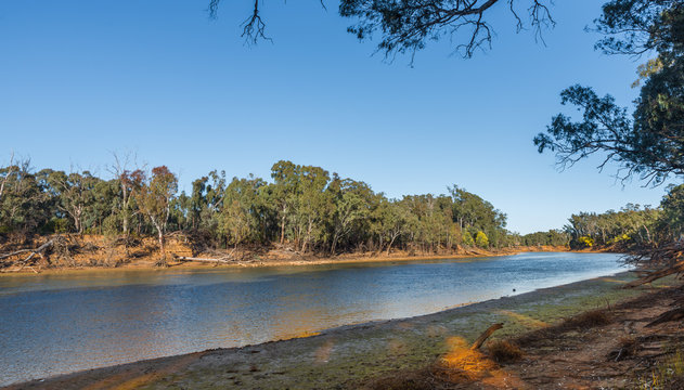 Australian riverfront landscape Murray River banks in the morning near Moama