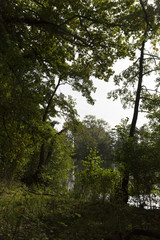 Landscape By Lake