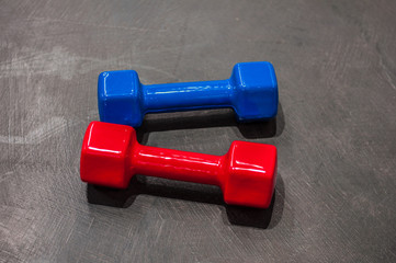red and blue dumbbells in a silicone latex shell lie on the gray floor in the center
