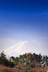 Fuji mountain at Kawaguchiko Japan.