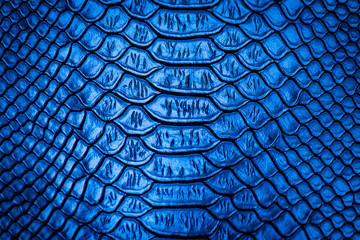 Blue snake skin pattern texture