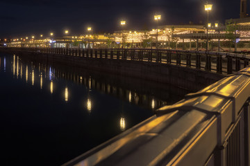 Fototapeta premium city embankment illuminated by lanterns reflected in the river
