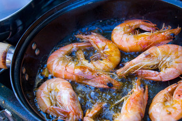 Fresh Scampis in a pan, France