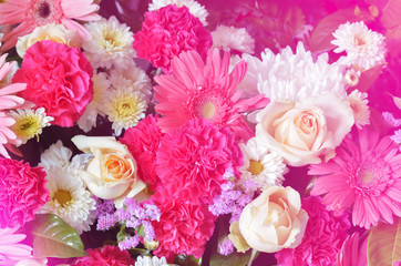 Group of gerbera  and roses flowers with soft bokeh in pastel tone for background.