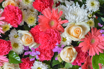 Group of gerbera  and roses flowers with soft bokeh in pastel tone for background.