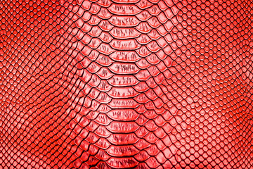 Red snake skin pattern texture