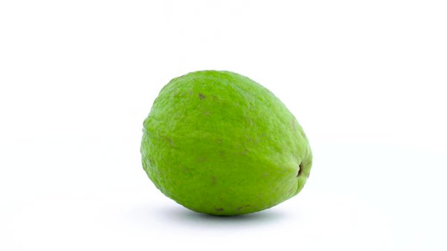 One whole apple guava fruit is rotating on the turntable isolated on the white background. Close up. Macro.