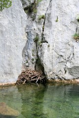 mountain river in N.P. Paklenica, Croatia