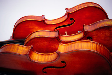 Three violins on a wihte background
