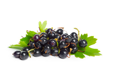 Berries black currant with green leaf. Fresh fruit, isolated on white background.