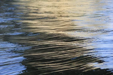 Foto auf Acrylglas Schnelle und glatte Flussoberfläche (Präfektur Yamaguchi) © misumaru51shingo