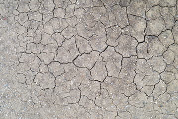 Cracked earth