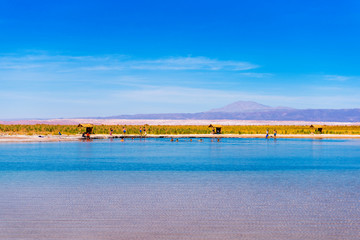 ATACAMA, CHILE - JANUARY 17, 2018: Landscape in Atacama desert and Salt Lake. Copy space for text.