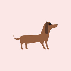 Cute dog illustration on pink background