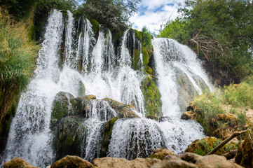 Small waterfall in green forest